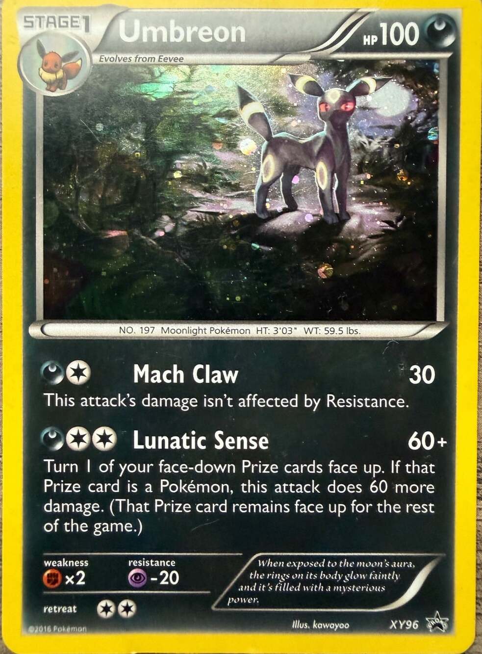 Pokemon Umbreon XY96 Promo Holo Card